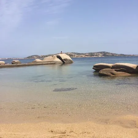 Badalacchi